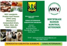 Dinas Peternakan Kabupaten Sukabumi Menghimbau Pelaku Usaha Produk Asal Hewan Untuk Punya NKV