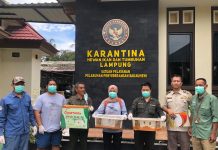 Perdagangan Satwa Liar Kembali Terungkap, Puluhan Satwa Diamankan di Pelabuhan Bakauheni