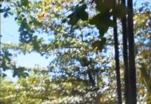 Pantai Mina Jaya, Cibuaya dan Curug Sodong Alami Lonjakan Wisatawan Signifikan