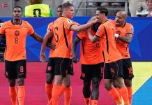 Hasil Belanda vs Swedia: Brobbey dan Gakpo Menggila, Oranje Menang Telak 5-1