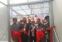 Destinasi Wisata Pertanian Petik Melon Premium SAM FARM Greenhouse