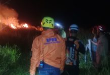 BPBD Kab Sukabumi : Kebakaran Lahan Seluas 2 Hektare Terjadi di Ciambar