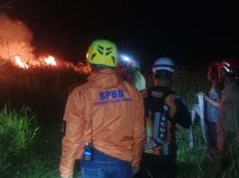BPBD Kab Sukabumi : Kebakaran Lahan Seluas 2 Hektare Terjadi di Ciambar