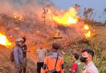 BPBD Kab Sukabumi: Karhutla Lalap 18 Hektare Lahan Perhutani di Jampangtengah