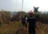 DPKP Kabupaten Sukabumi Berhasil Tangani Kebakaran Lahan Alang-Alang Di Ciracap Sukabumi