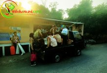 SMA Plus Darma Bangsa Gelar Kegiatan Menyambut HUT RI dan Hari Pramuka di Palagan Bojong Kokosan