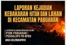 Laporan Kejadian Kebakaran Hutan dan Lahan di Kecamatan Pabuaran Pusdalops PB BPBD Kabupaten Sukabumi Catat Peristiwa Karhutla