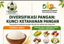 DKP Sukabumi Dorong Masyarakat Konsumsi Pangan Lokal, Diversifikasi Pangan Jadi Kunci Ketahanan Pangan