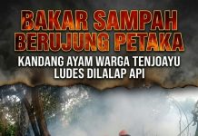 Bakar Sampah Berujung Petaka, Kandang Ayam Warga Tenjoayu Ludes Dilalap Api