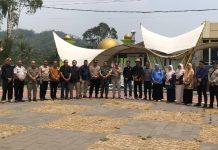 Festival dan Pameran Bonsai di Alun-Alun Jampangtengah Sukabumi 2026 Masuk Agenda Utama HJKS