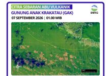 Berikut informasi sebaran abu vulkanik Gunung Anak Gunung Krakatau (GAK) pada 7 September 2026 pukul 01.00 WIB