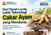 Dari Tanah Lunak, Lahir Teknologi Cakar Ayam yang Mendunia
