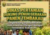 Dinas Pertanian Dukung Penuh Gerakan Panen Tembakau, Gegerbitung Diproyeksikan Jadi Kawasan Pengembangan Tembakau Sukabumi