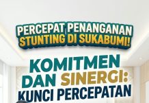 Wabup Kabupaten Sukabumi Tegaskan Komitmen dan Sinergi Jadi Kunci Percepatan Penanganan Stunting