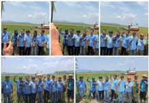 Dukung Kedaulatan Pangan Nasional, Petani Muda Jagatara Laksanakan Panen Raya