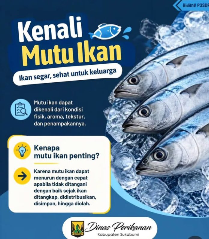 IMG-20261001-WA0019