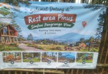 SIMFONI Pangrango View Wisata Puncak Simun Cianjur Kian Berwarna dengan Rest Area Pohon Pinus