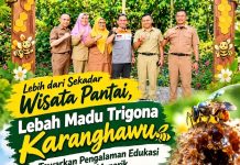 Lebih dari Sekadar Wisata Pantai, Lebah Madu Trigona Karanghawu Tawarkan Pengalaman Edukasi yang Menarik
