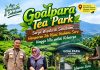 Goalpara Tea Park, Surga Wisata di Sukabumi: Hamparan Teh Hijau, Wahana Seru Hingga Vila Untuk Keluarga