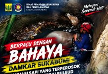 Berpacu dengan Bahaya, DPKP Kabupaten Sukabumi Evakuasi Sapi yang Terperosok ke Sumur Tua di Tegalbuleud