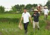 Wabup Andreas Bidik Petani Sukabumi Lebih Sejahtera, Sekolah Lapang Padi Modern Resmi Diluncurkan.Hasil Panen Tembus 11,2 Ton per Hektare,