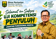 Dinas Pertanian Kabupaten Sukabumi Apresiasi Penyuluh Ikuti Uji Kompetensi, Perkuat Profesionalisme SDM Pertanian